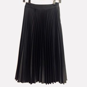Pleated Skirt